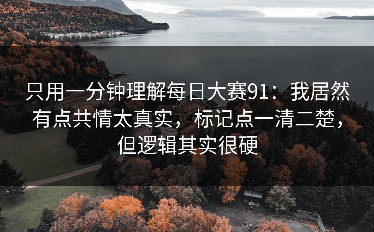 只用一分钟理解每日大赛91：我居然有点共情太真实，标记点一清二楚，但逻辑其实很硬